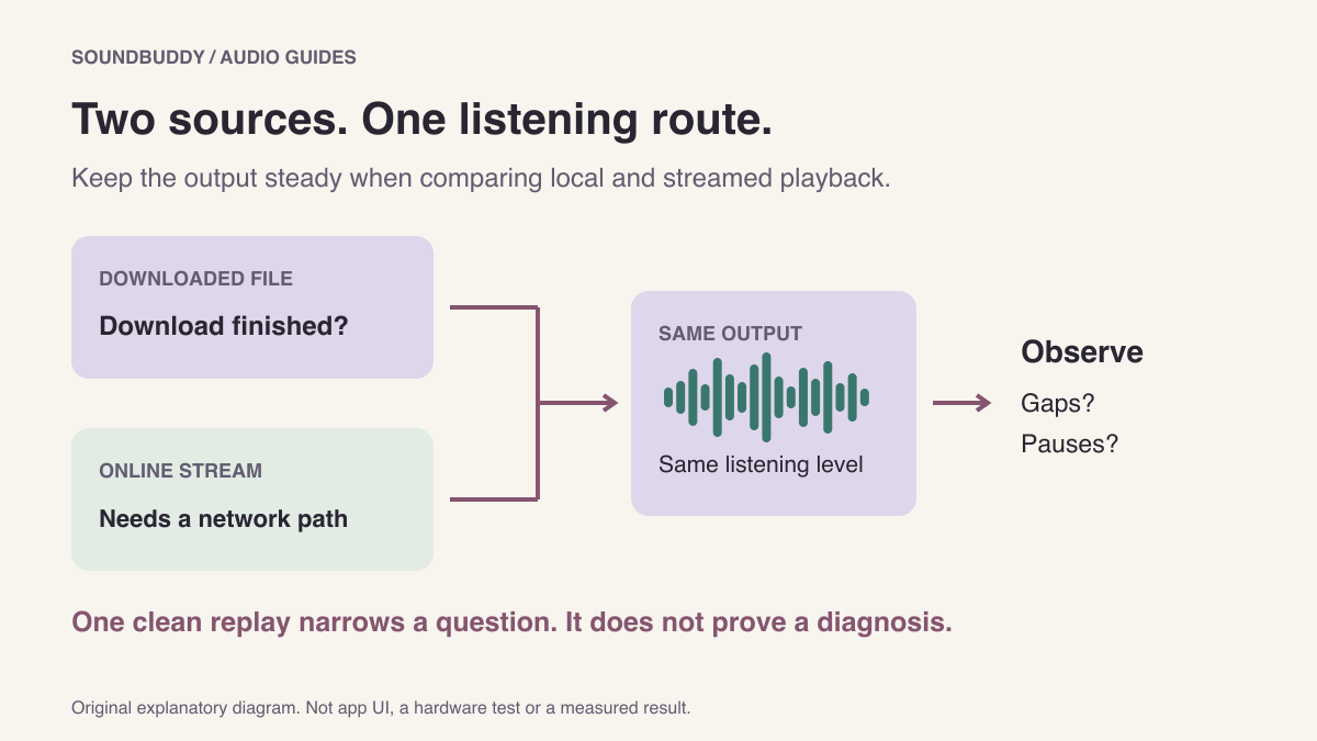 Diagram showing a downloaded file and an online stream as separate sources feeding the same output, with a reminder to record gaps or pauses.